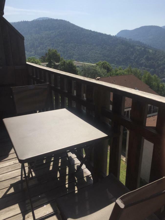 Charmant T3 Bussang, Vosges, Vue Imprenable Exterior foto